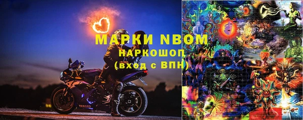 гашик Алзамай