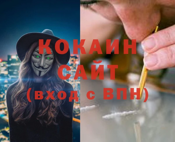 гашик Алзамай