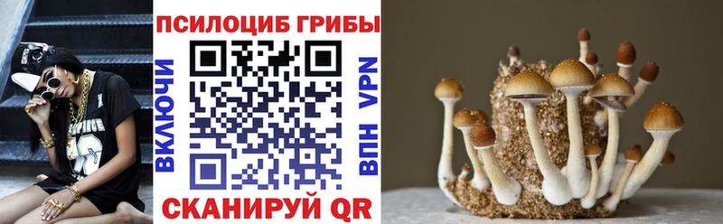 Галлюциногенные грибы мухоморы  Курлово 